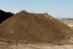 beklemiş hayvan gübresi